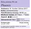 phoenix90.png