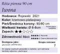 Iwona  (1).png