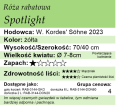 Spotlight.png