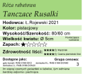 rusałki.png