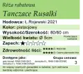 rusałki.png