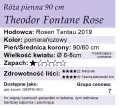 theodor90.png