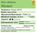 Westart.png