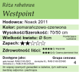 Westpoint.png