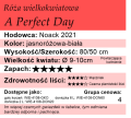 A Perfect Day.png