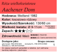 aachener dom.png
