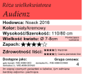 Audienz.png