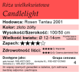 Candlelight1.png