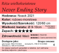 Never Ending Story cechy.png