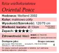 Oriental Peace cechy.png