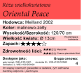 Oriental Peace cechy.png