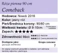 Comeback (2).png
