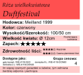Duftfestival.webp