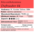 Duftzauber 8411.png