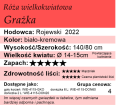 Grażka.png