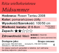 Midsummer1.png