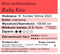 Ruby Kiss.png