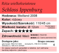 Schloss-Ippenburg.webp