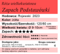 Zapach Podstawówki.png