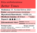 Better Times.png