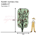 wymiary CAMELOT