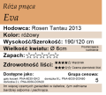 cechy róży pnącej Eva