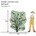 wymiary_NATALIE.png