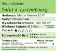 Salut à  Luxembourg.png