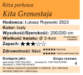 Kita Gronostaja.png