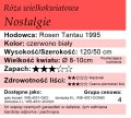 Nostalgie cechy.png