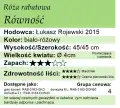 Równość.png