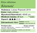 Równość.png