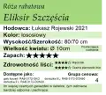 Eliksir Szczęścia cechy.png