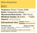 Jazz.png
