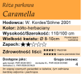 Caramella.png