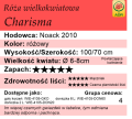 Charisma.png