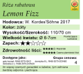 Lemon Fizz.png