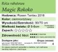 Magic Rokoko.png