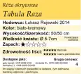 Tabula Raza.png