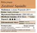 Zazdrość Sąsiadki.png