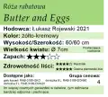 Butter and Eggs.png