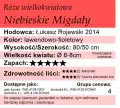 Niebieskie Migdały.png