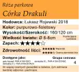 Córka Drakuli.png