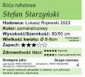 Stefan Starzyński.png