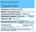 Tequila Shot.png