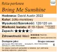 Bring Me Sunshine.png