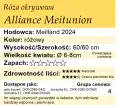 Alliance Meitunion.png