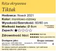 Tiktak.png