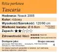 Tascaria.png