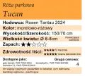 Tucan.png